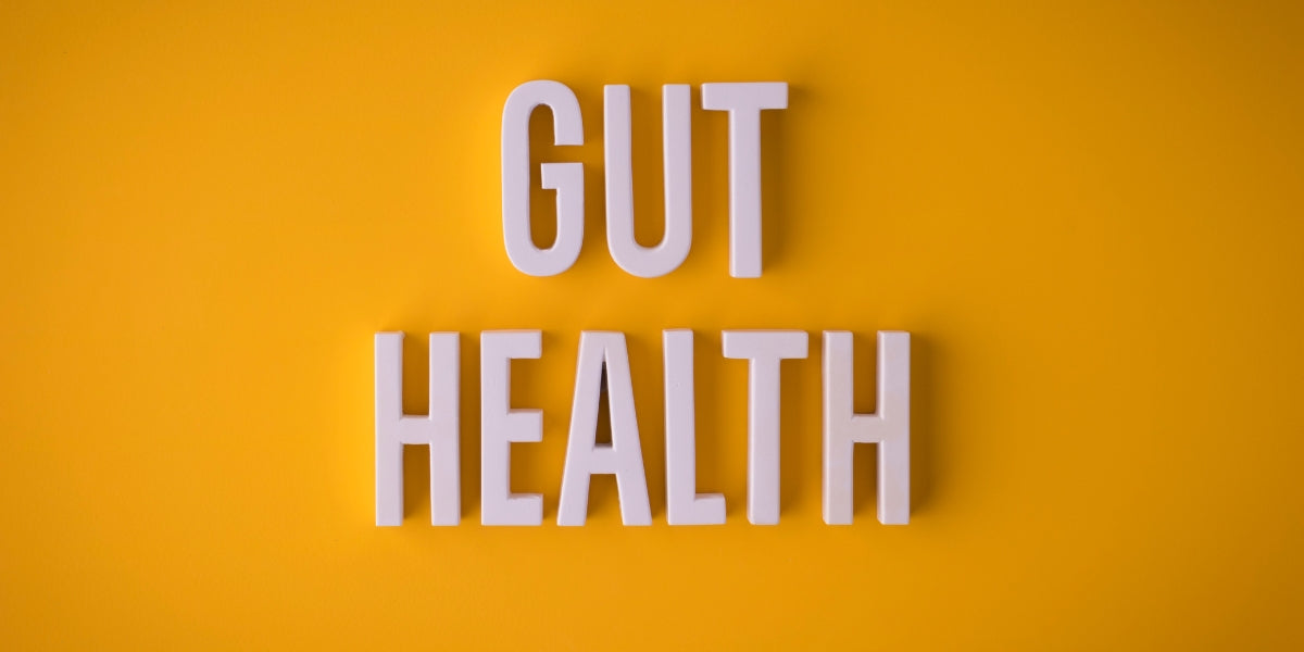 The importance of gut health in an overall healthy lifestyle